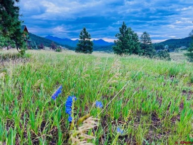 Hatcher Reservoir Lot For Sale in Pagosa Springs Colorado