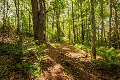 Incredible opportunity to own over 6.3 acres with 825 feet of - photo 45