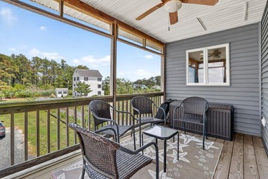 You will LOVE the views! Enjoy beautiful views of Chincoteague - photo 45