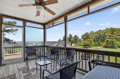 You will LOVE the views! Enjoy beautiful views of Chincoteague - photo 46