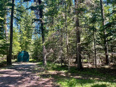 Don't miss this rare offering with 165 feet of Swan River - photo 50