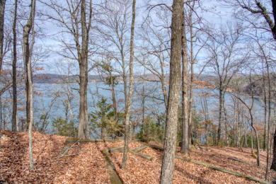 3+ Acres With A Breath-Taking View of Beaver Lake! - photo 11