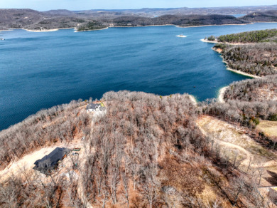3+ Acres With A Breath-Taking View of Beaver Lake! - photo 12
