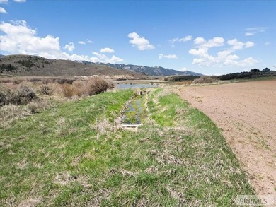 This property is currently under contract: The seller is seeking - photo 28