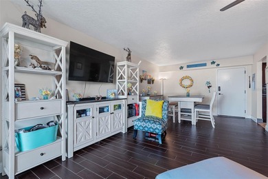 Coastal Living at Its Finest - Oceanview Condo in Flagler Beach - photo 9