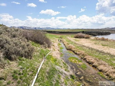 This property is currently under contract: The seller is seeking - photo 30