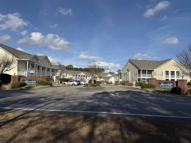 Motivated Seller! Does not have to be sold furnished if desired - photo 31