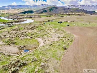 This property is currently under contract: The seller is seeking - photo 31