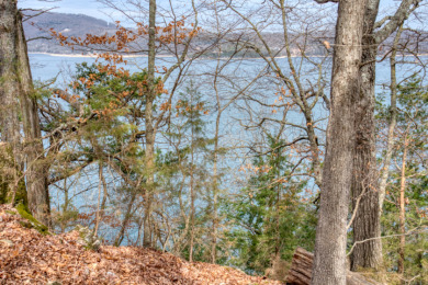 3+ Acres With A Breath-Taking View of Beaver Lake! - photo 15