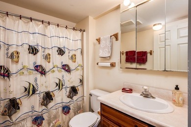 Oh the Views! Perfectly sited, this Quintessential 1780 Colonial - photo 40