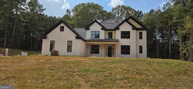 Lake Dow Home Sale Pending in Mcdonough Georgia