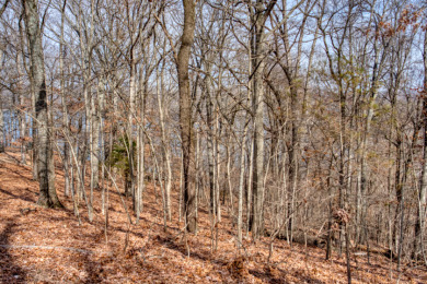 3+ Acres With A Breath-Taking View of Beaver Lake! - photo 25