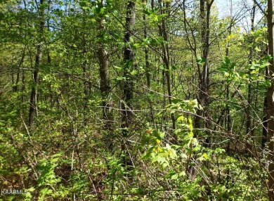 Lake Acreage For Sale in New Tazewell, Tennessee