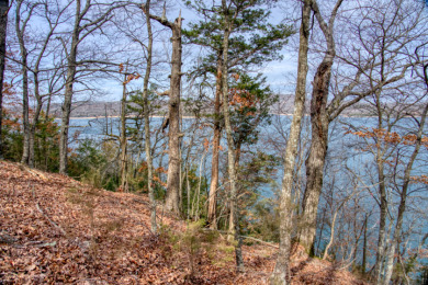 3+ Acres With A Breath-Taking View of Beaver Lake! - photo 3