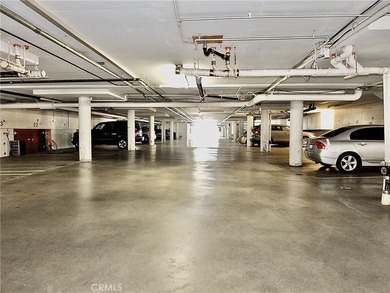 545 Chestnut Avenue unit 203 in Lincoln Park Towers a sunny and - photo 18