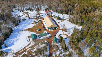 Plum Lake Commercial For Sale in Sayner Wisconsin