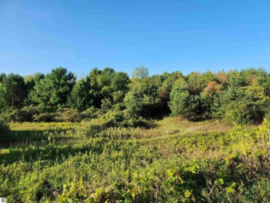 Torch Lake Acreage For Sale in Rapid City Michigan
