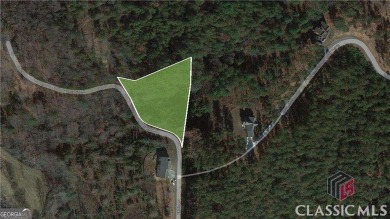 Lake Lot For Sale in Blairsville, Georgia