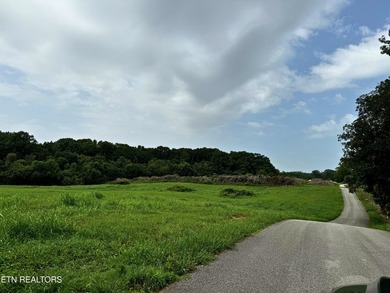 No Restrictions! Bring your vision to life on this 6.93-acre - photo 5