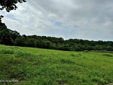 No Restrictions! Bring your vision to life on this 6.93-acre - photo 6