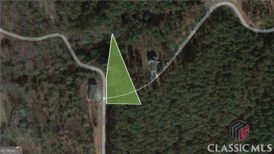 Lake Lot For Sale in Blairsville, Georgia