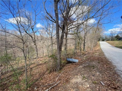 Come see what Coose Bay has to offer. Paved roads to property - Lake Acreage For Sale in Rogers, Arkansas