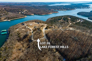 Lake View Lot! Boat Slip Available! You know the old saying - photo 2