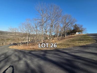 Lake View Lot! Boat Slip Available! You know the old saying - photo 7