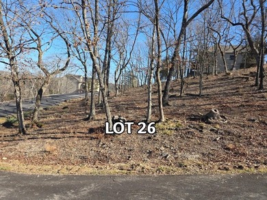 Lake View Lot! Boat Slip Available! You know the old saying - photo 8