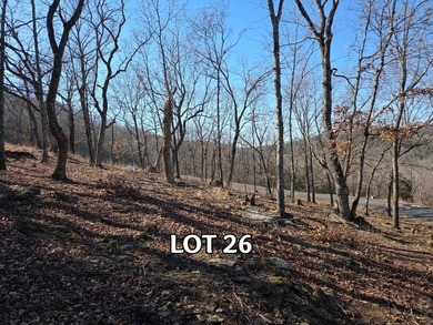 Lake View Lot! Boat Slip Available! You know the old saying - photo 9