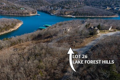 Lake View Lot! Boat Slip Available! You know the old saying - photo 10
