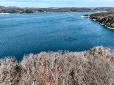 3+ Acres With A Breath-Taking View of Beaver Lake! - photo 8
