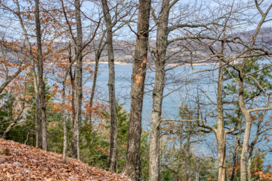 3+ Acres With A Breath-Taking View of Beaver Lake! - photo 24