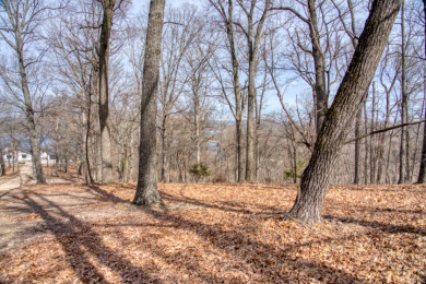 3+ Acres With A Breath-Taking View of Beaver Lake! - photo 28
