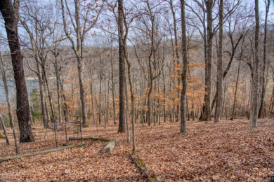 3+ Acres With A Breath-Taking View of Beaver Lake! - photo 14