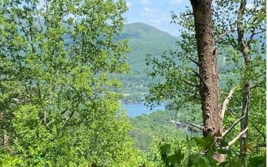 Lake Lot For Sale in Hiawassee, Georgia