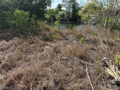 This southern rear exposure lot is ready for you to design and - photo 3