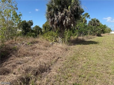 This southern rear exposure lot is ready for you to design and - photo 4