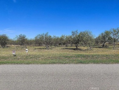 Lake Lot For Sale in Outside Area (Outside Ca), Texas