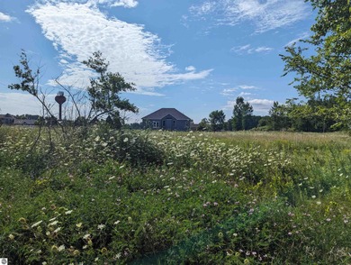 Lake Huron - Arenac County Lot For Sale in Au Gres Michigan