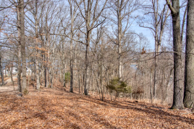 3+ Acres With A Breath-Taking View of Beaver Lake! - photo 26