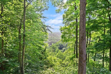 Escape to your own private retreat near Lake Cumberland! Nestled - photo 3