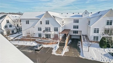 Lake Minnetonka Condo For Sale in Mound Minnesota