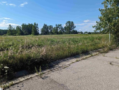 Lake Huron - Arenac County Lot For Sale in Au Gres Michigan