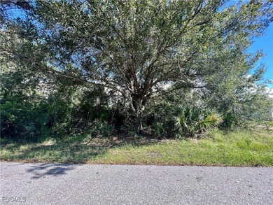 Located in a developing neighborhood, this beautiful lot offers - photo 3