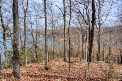 3+ Acres With A Breath-Taking View of Beaver Lake! - photo 5