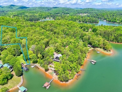 Lake Acreage For Sale in Blairsville, Georgia