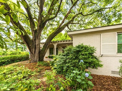 Located in the heart of The Groves--one of Mount Pleasant's most - photo 5