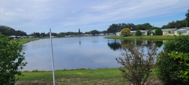 Lake Home For Sale in Riverview, Florida