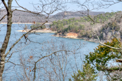 3+ Acres With A Breath-Taking View of Beaver Lake! - photo 9